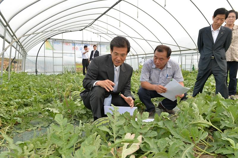 0718_수박_품질고급화_현장평가회_(3)