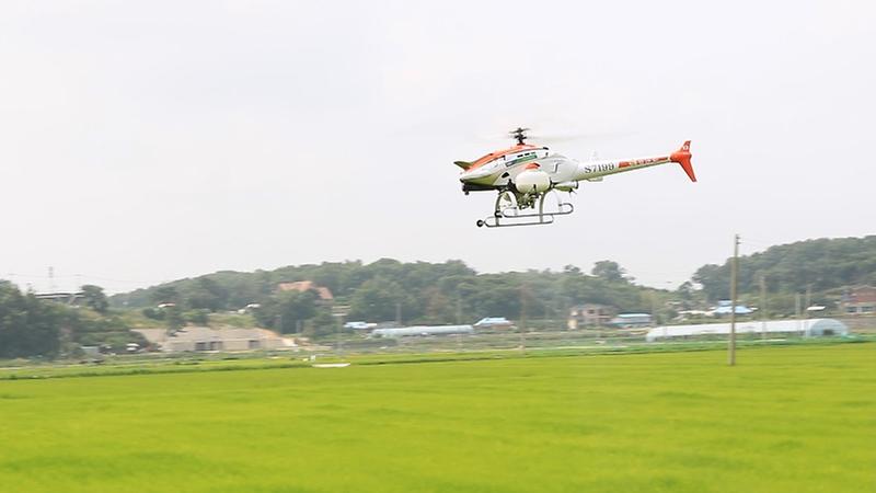 0721_무인헬기_항공방제_(3)