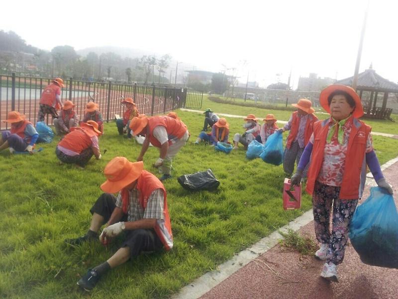0808_군_노인회_환경정비_(1)