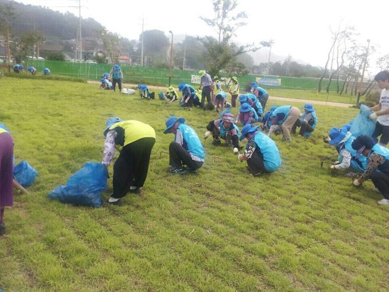 0808_군_노인회_환경정비_(2)