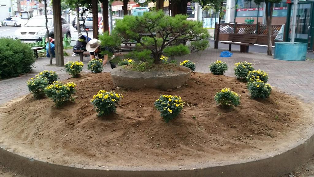 0819_강화읍_환경정비