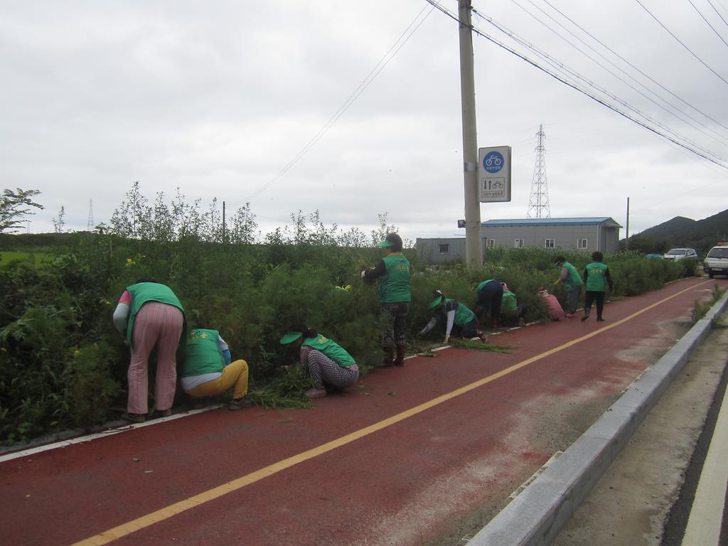 0820_삼산면새마을부녀회_꽃길조성_(1)