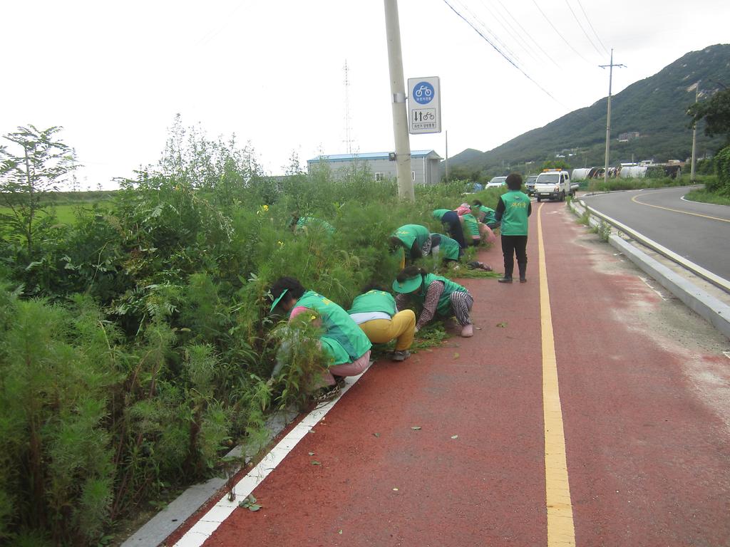 0820_삼산면새마을부녀회_꽃길조성_(2)