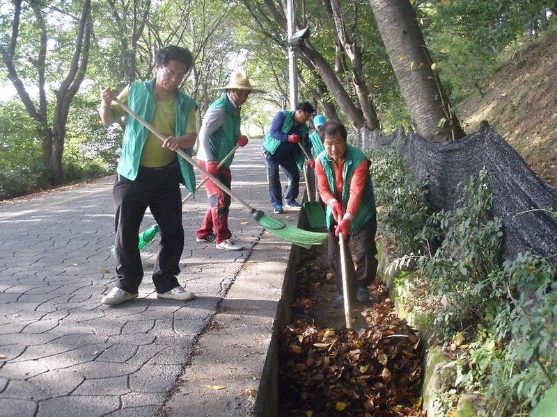 클린업환경정비