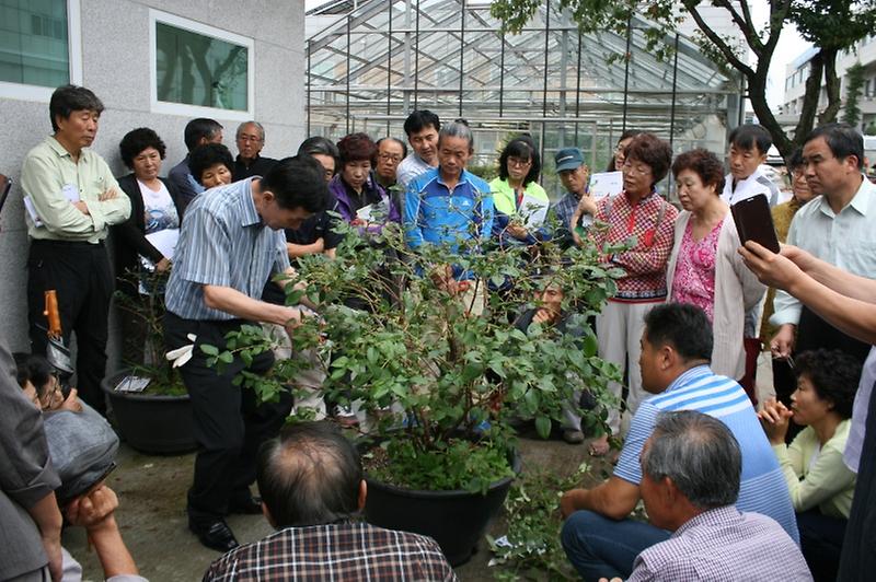 도시근교농업교육1(블루베리)