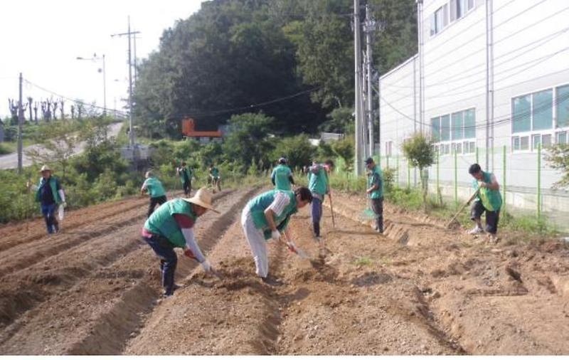 강화읍새마을_순무식재(2)