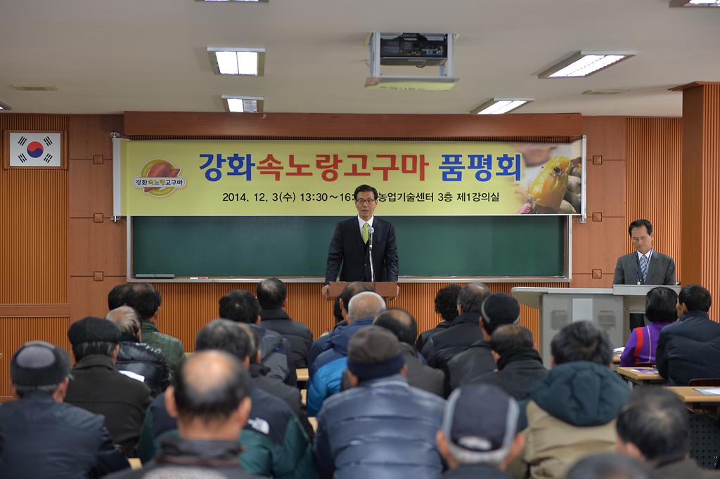 강화군속노랑고구마품평회(1)