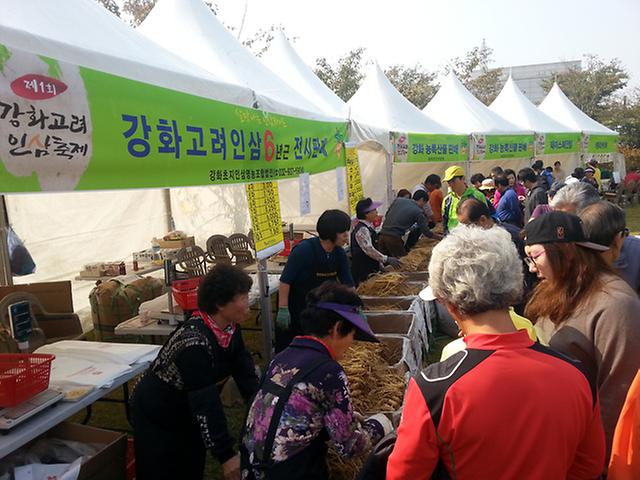 지난해_인삼축제모습1