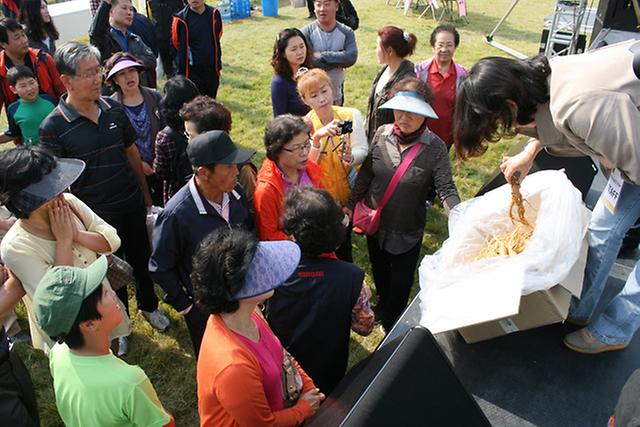 지난해_인삼축제모습2
