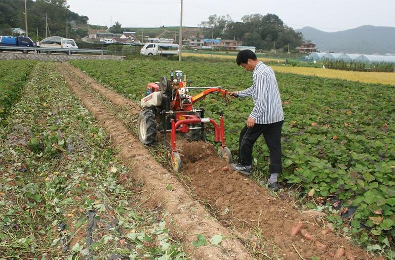 농산물_적기영농