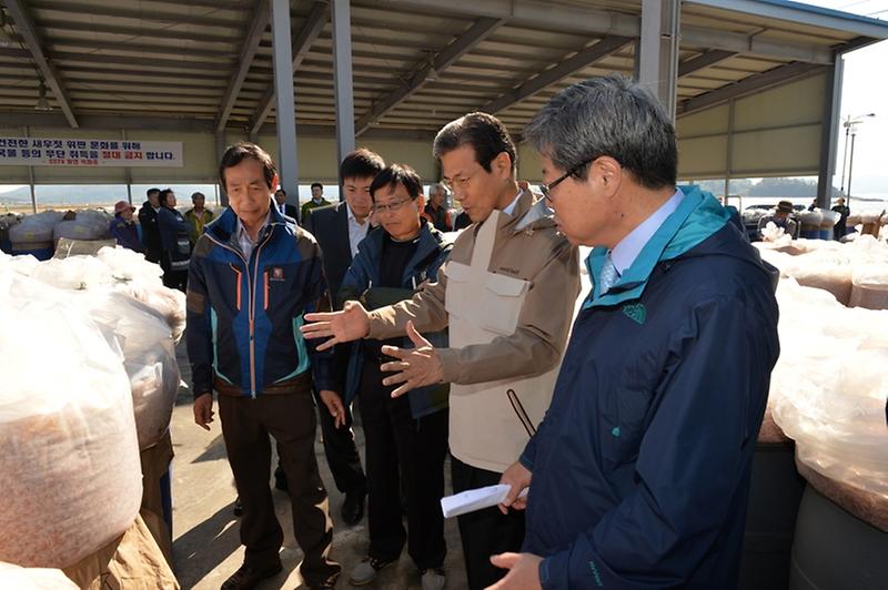 새우젓경매시장1