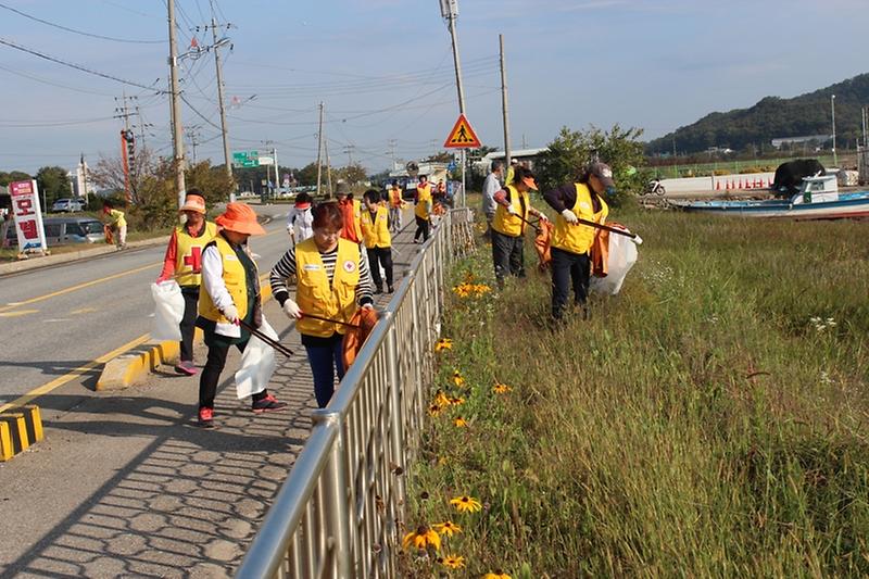 선원면_대청결운동