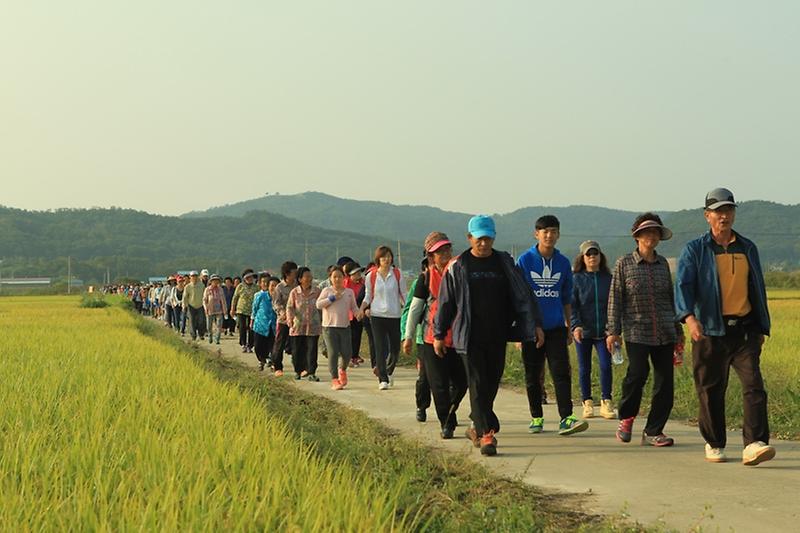 송해면걷기대회1