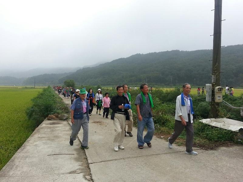 양사면건강걷기대회1