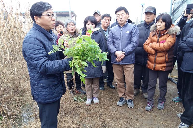 채소_바이러스_현장_컨설팅을_실시하고_있다