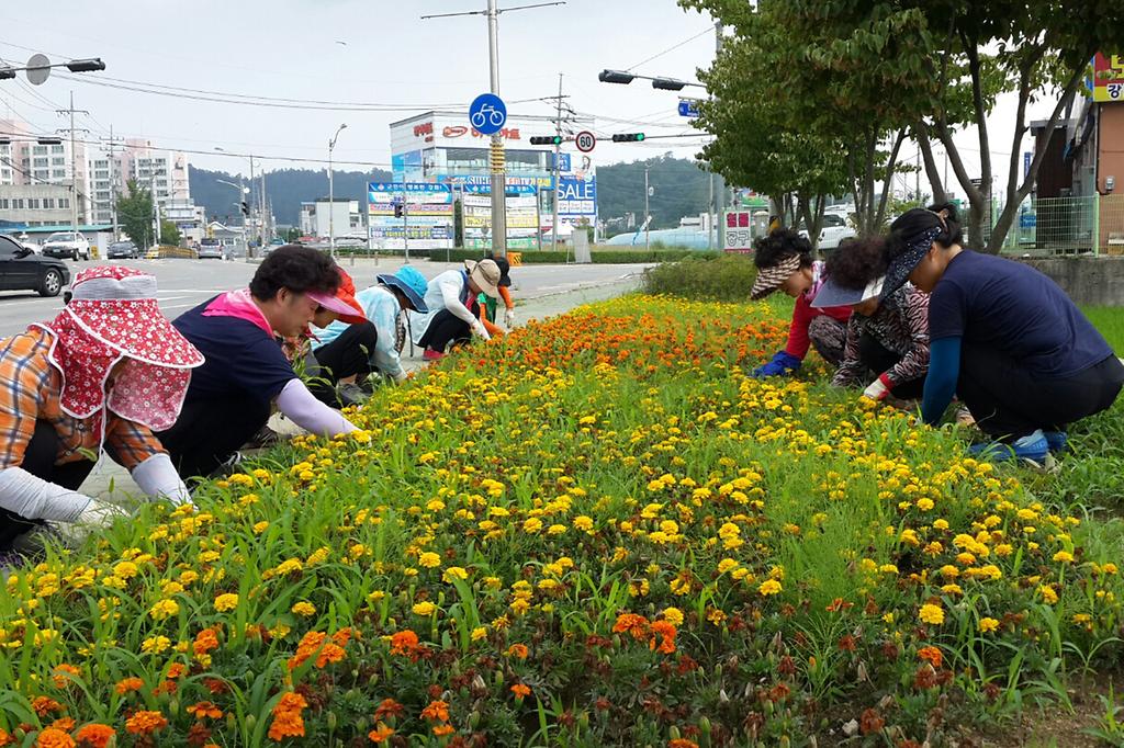 강화읍_가로화단_환경_정비_사진