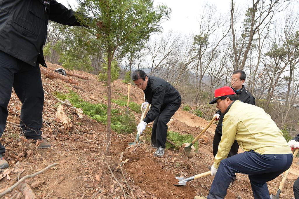 강화군_식목일_행사_사진