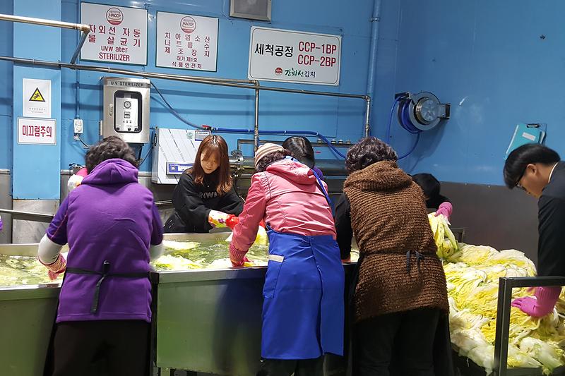강화군청_공무원들이_김치_담그기_봉사_활동을_펼치고_있다