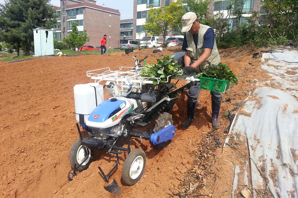 고구마묘이식기_사진