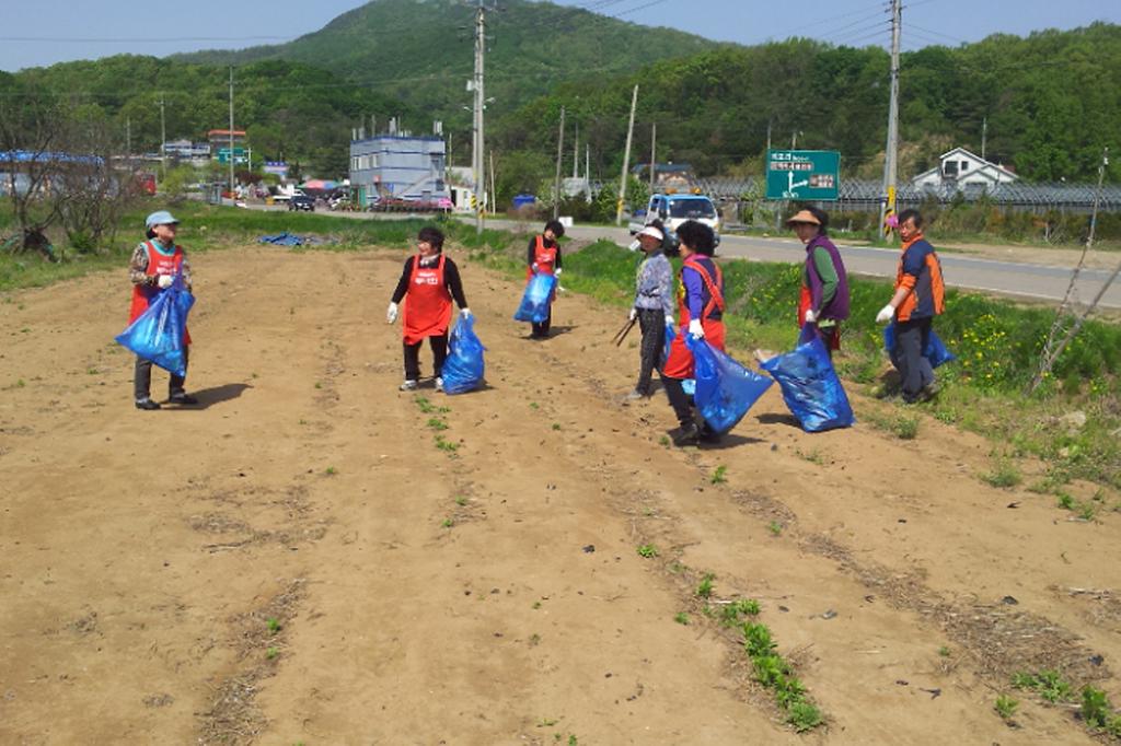 국화2리_진달래축제_뒷마무리_청소_사진