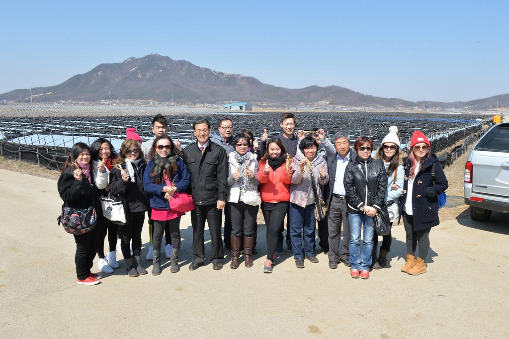 인삼캐기_체험현장_방문