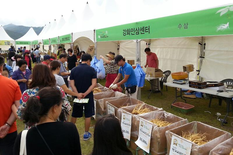 인삼축제