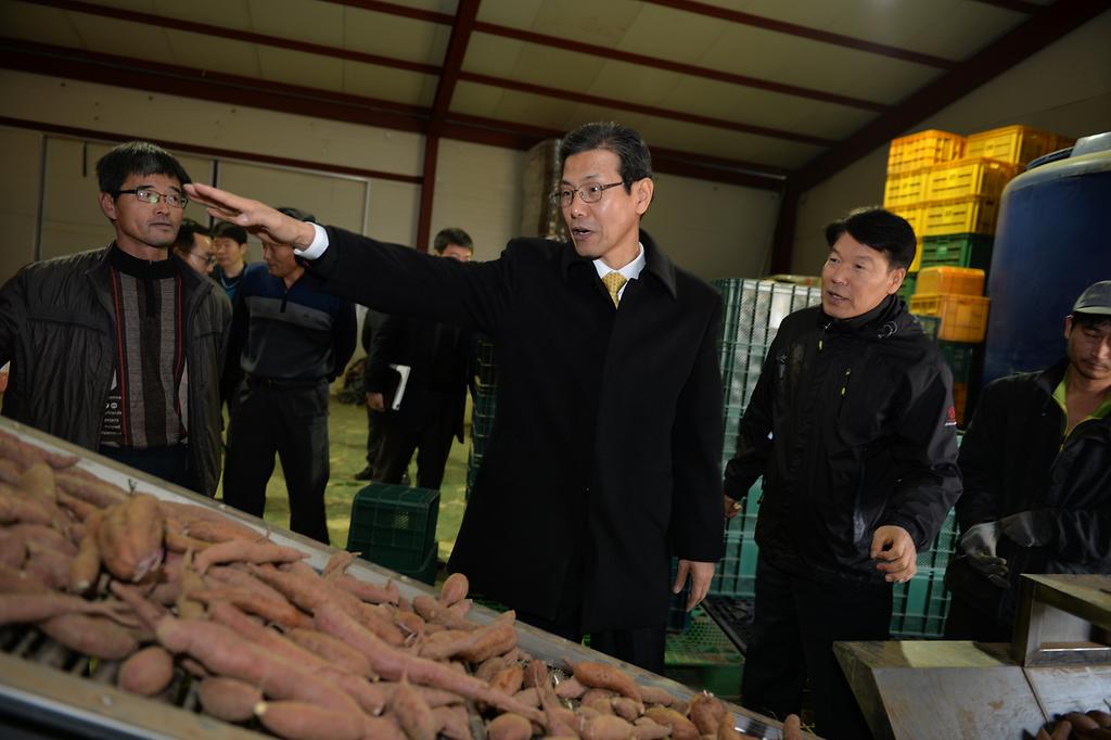 이상복_강화군수_고구마_선별장_방문_사진