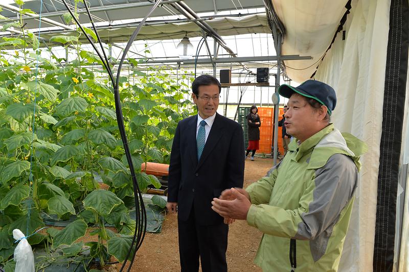 이상복_군수가_오이농가를_방문해_격려하고_있다