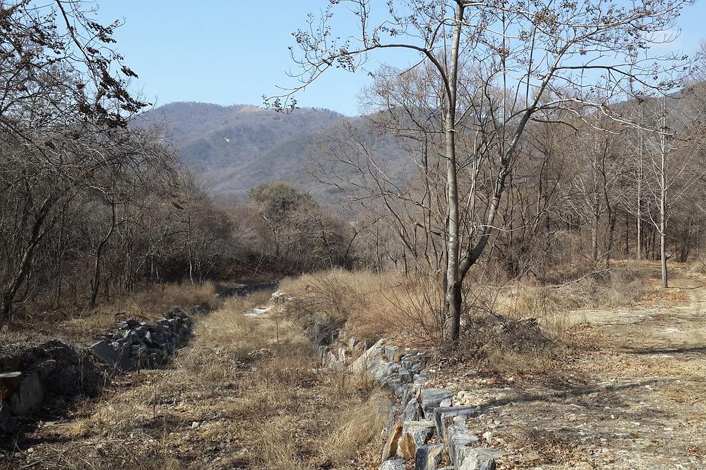 전_태권도_공원_검토_부지