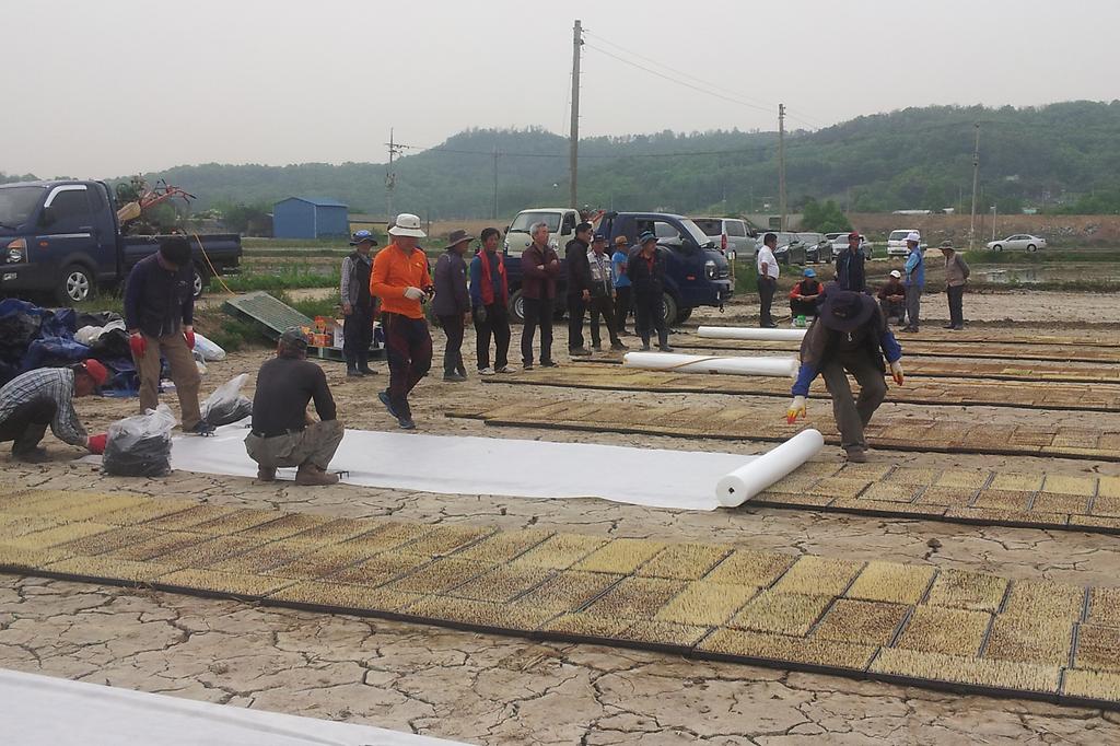 농촌지도자강화군연합회_예비_못자리_설치