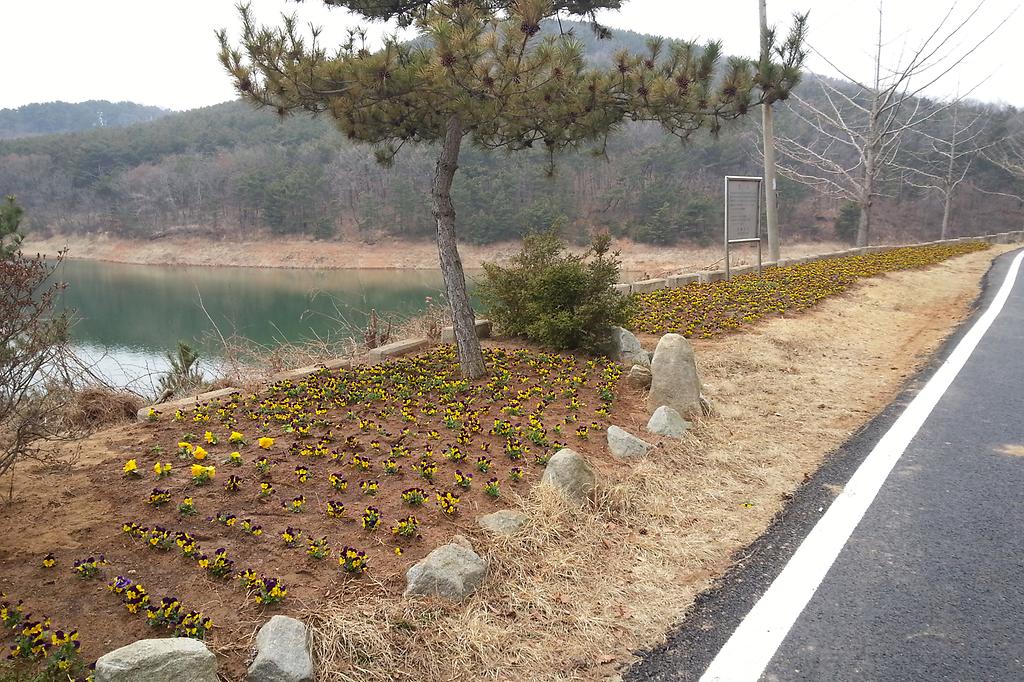 서도면_봄꽃_식재_사진