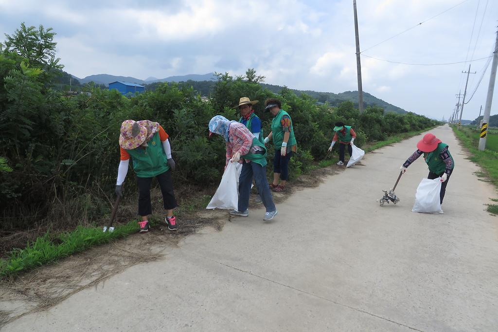 송해면_새마을남녀지도자회_쓰레기_수거_사진