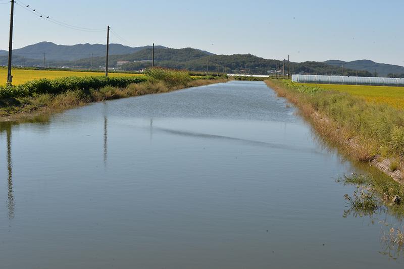수로에_물이_가득_차_있다
