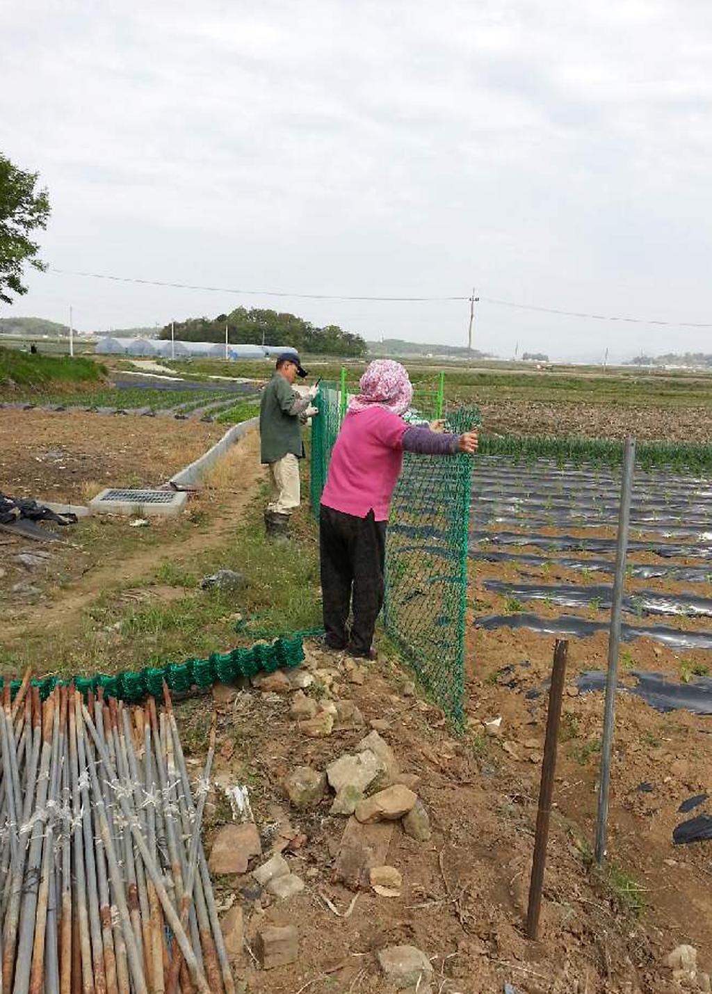 야생동물_피해를_예방하기_위해_방조망을_설치