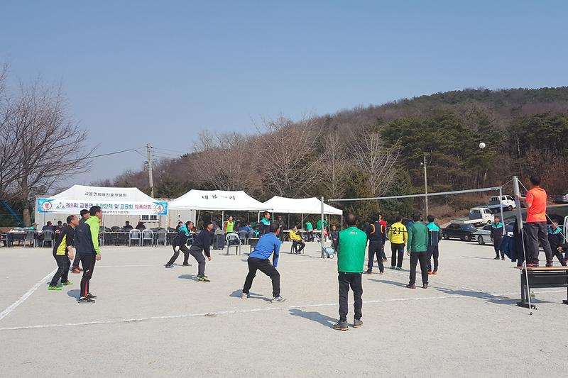 배구_경기를_펼치고_있다