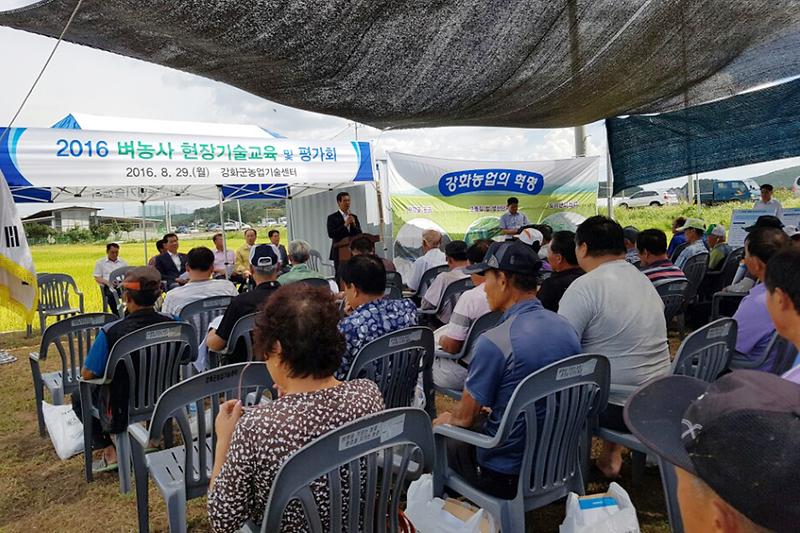 벼농사_현장기술교육_및_평가회