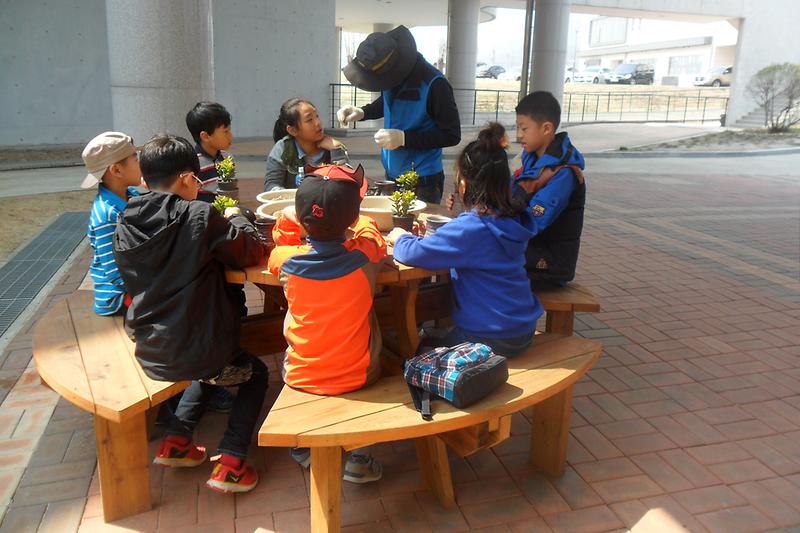 도기화분에_다육식물_심기