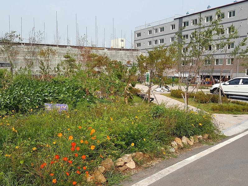 어린이_놀이시설_1(강화중학교_후문)