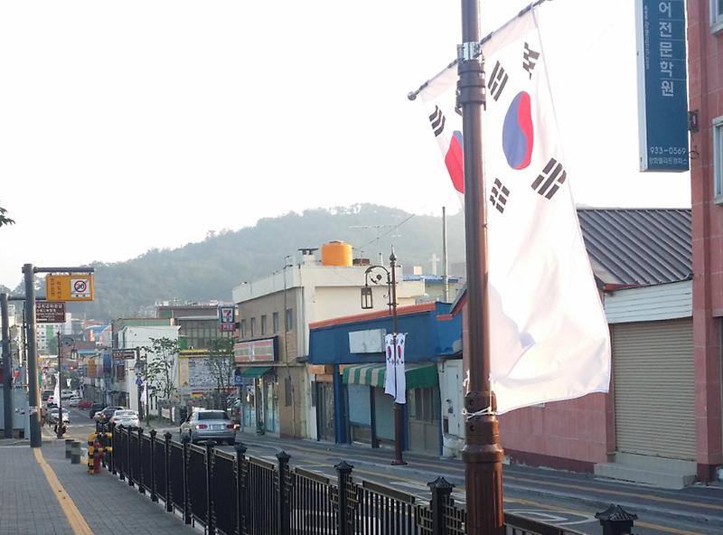 강화읍_도로에_게양된_태극기