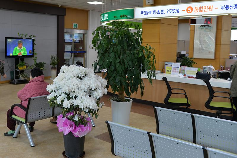 강화군청_민원실에_꽃이_피어_있다