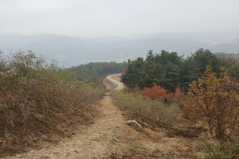 강화산성길을_따라_진달래가_식재되어_있다_1