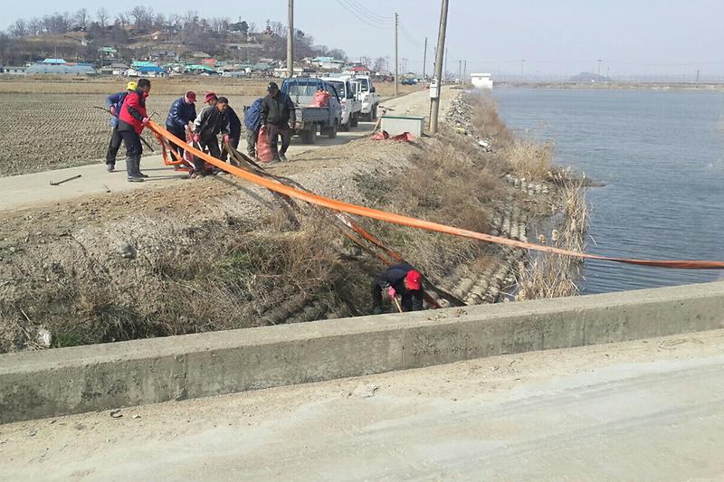 교동면_인사리_청년회가_인사리_수로에서_물_호스를_수거하고_있다
