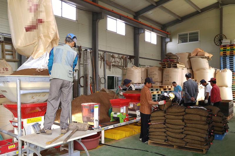 인공_상토를_이용해_묘판에_파종을_하고_있다