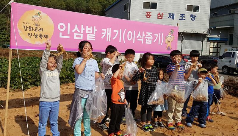 인삼축제_2