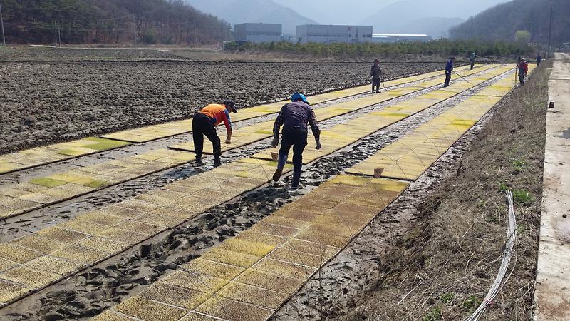 적기못자리_설치_지도_(2)