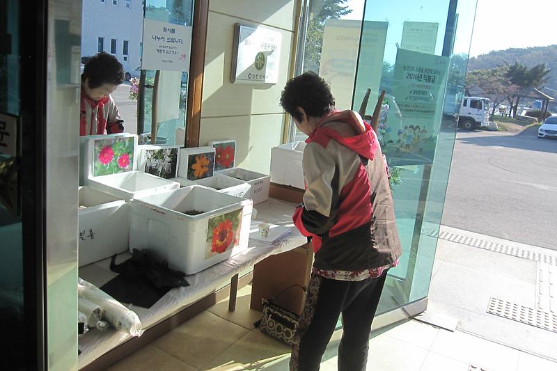 주민이_화도면사무소_입구에서_꽃씨를_가져가고_있다