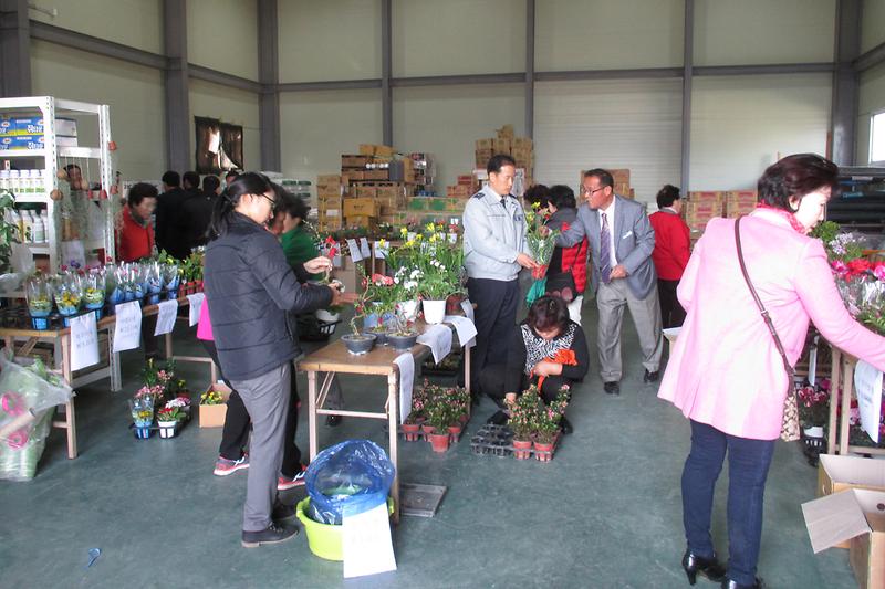 내가면_꽃_판매_시장에서_예쁜_봄꽃을_구입하고_있다