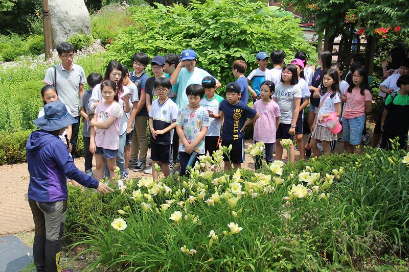 프로그램_진행_1