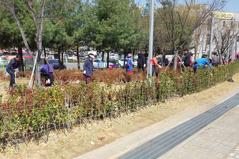 풍물시장_봄꽃식재