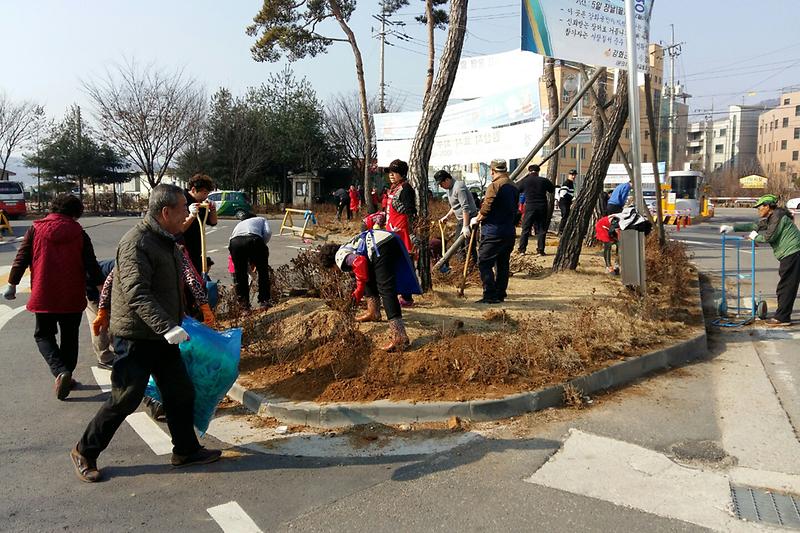 풍물시장_시장상인회와_강화군시설관리공단이_화단에_산철쭉을_식재하고_있다